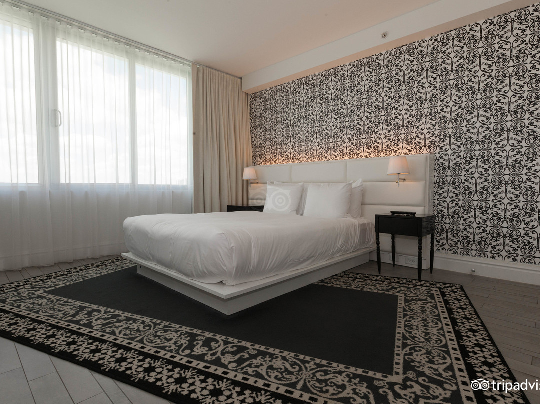 蒙德里安迈阿密南海滩酒店