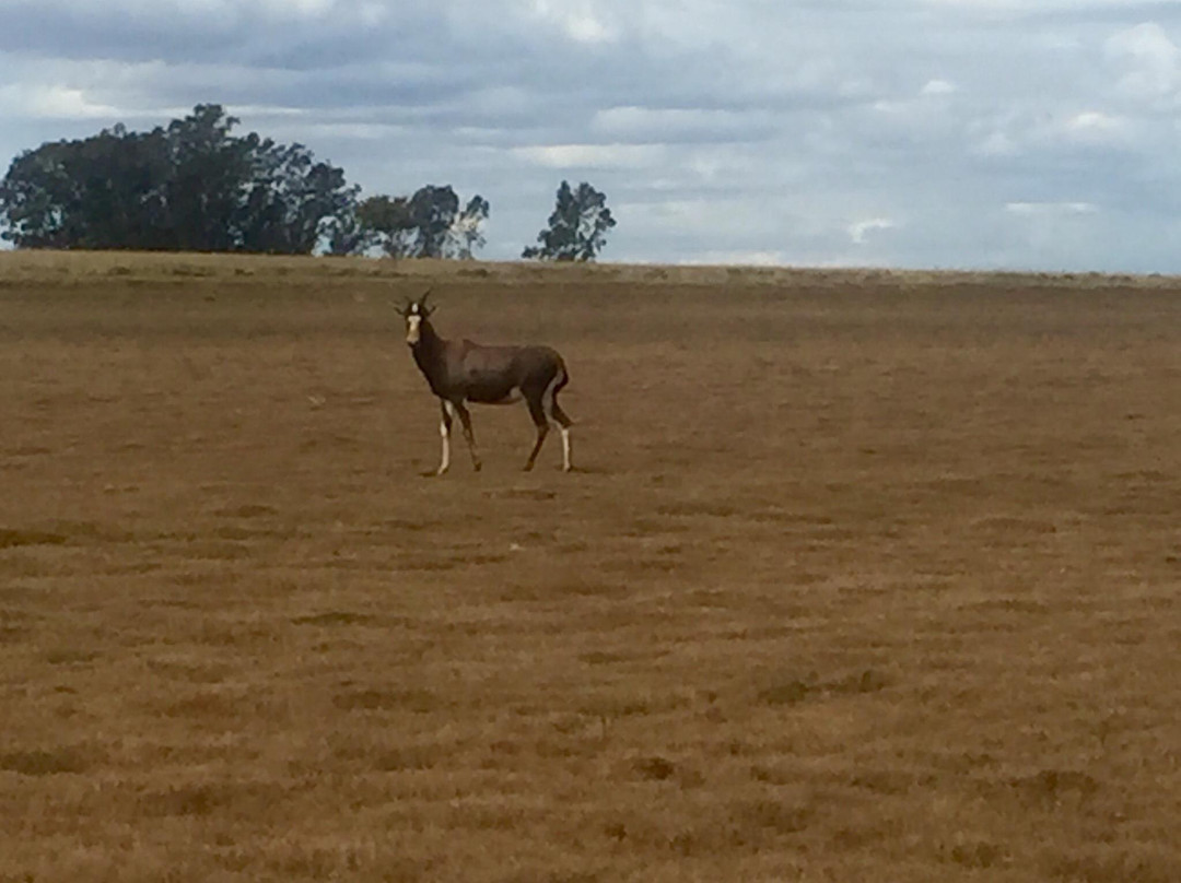 Vaal Dam-普马兰加省必去景点