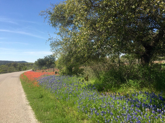 Llano Slab-Kingsland必去景点