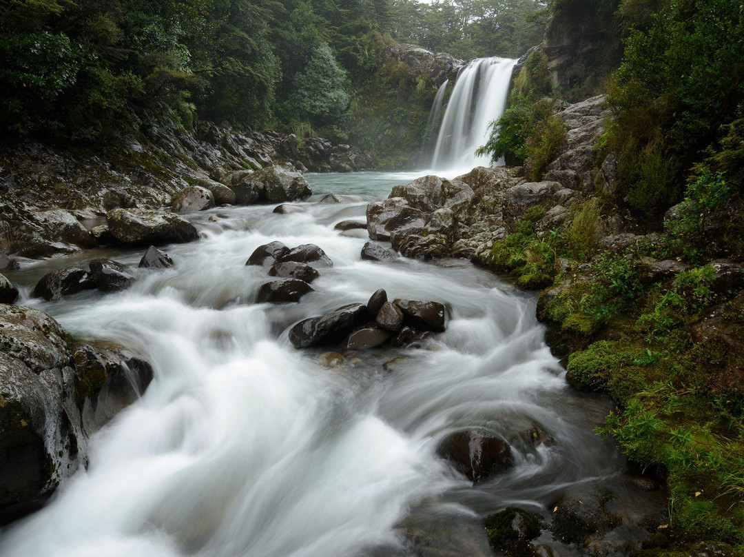 New Zealand Photography Workshops景点图片