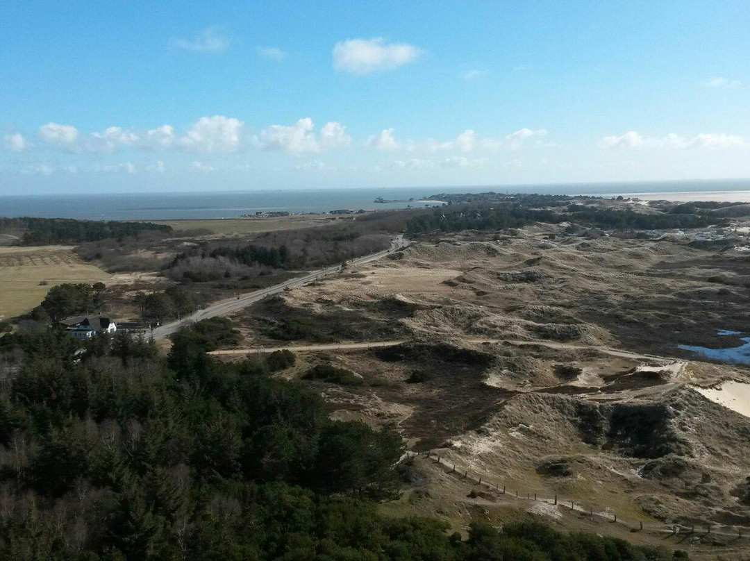 Amrumer Leuchtturm景点图片