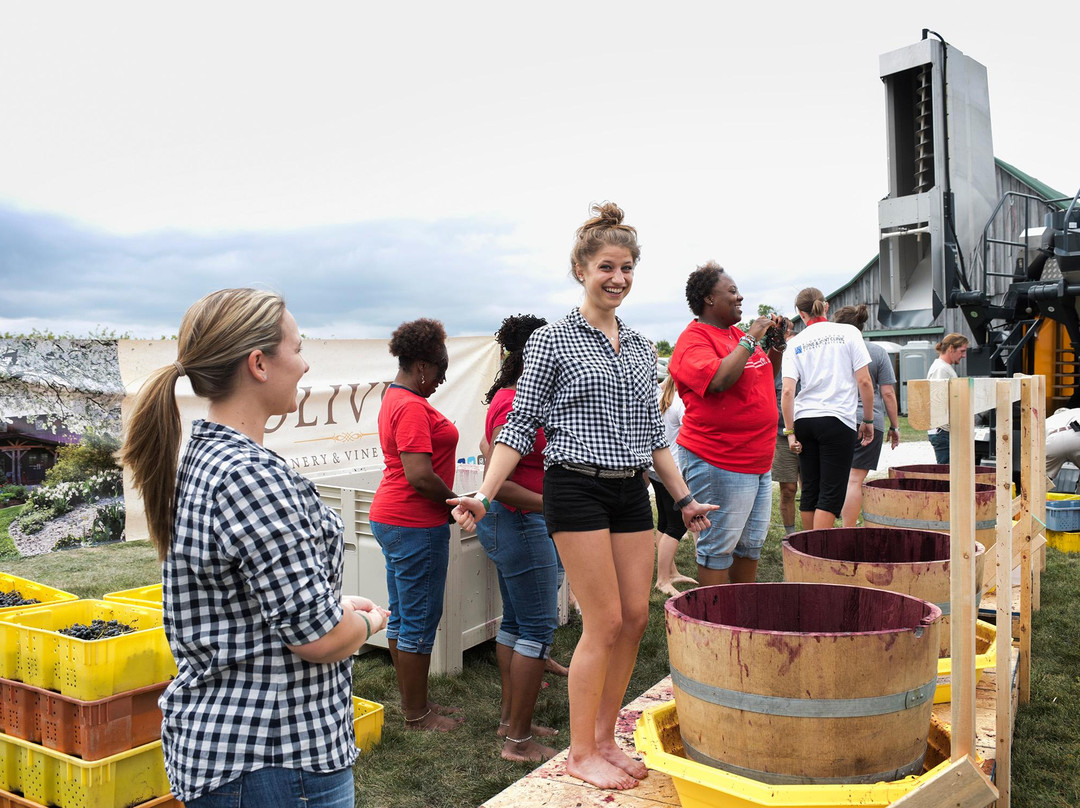 Creekbend Vineyard-Ellettsville必去景点