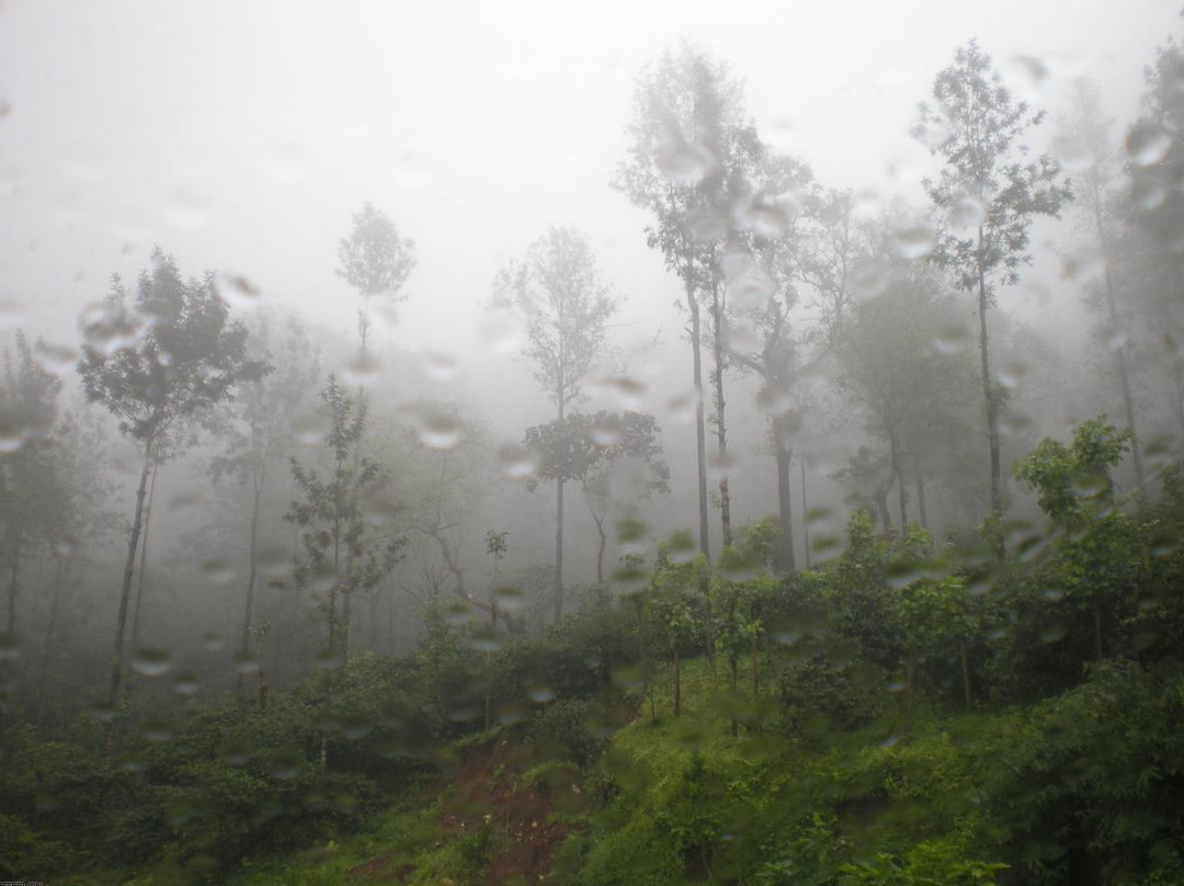 Shri Shringeri Shankar Math-Siddapur必去景点