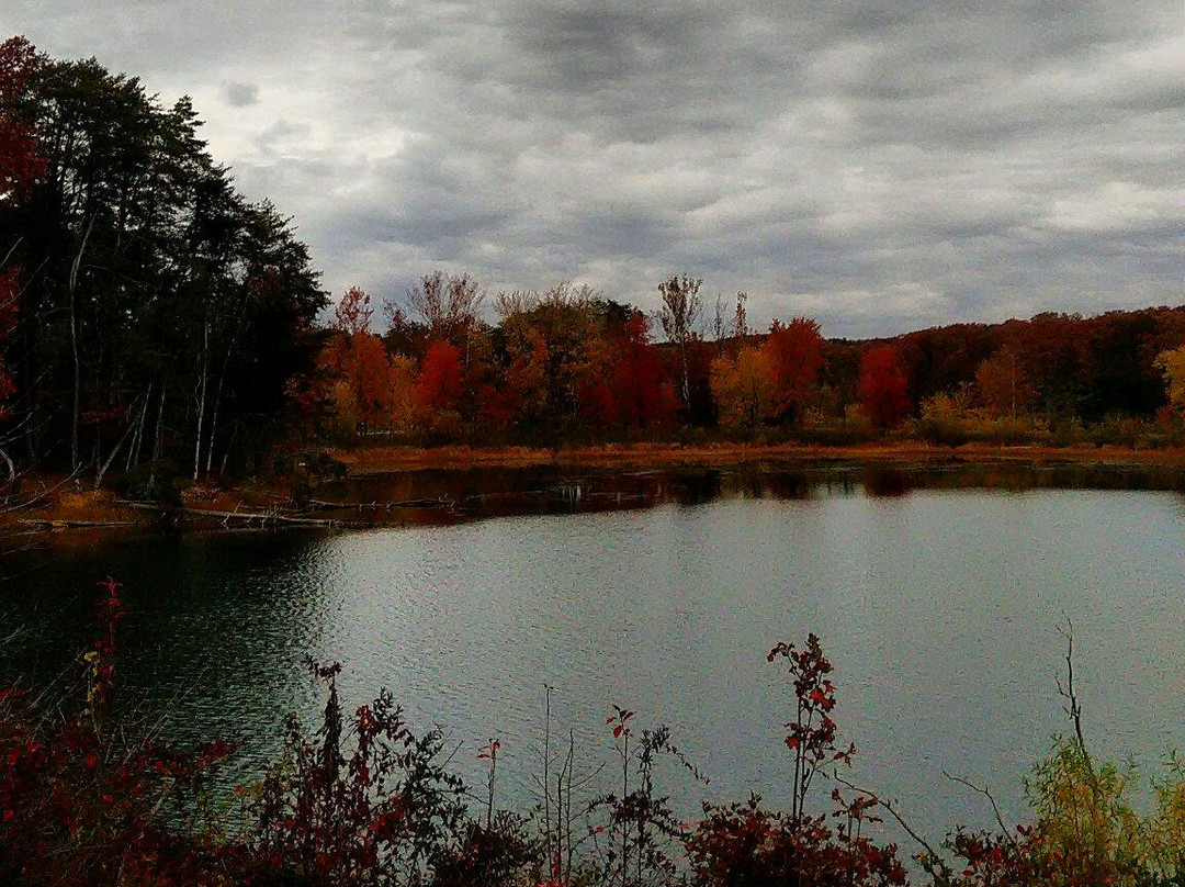Deam Lake State Recreation Area-Borden必去景点