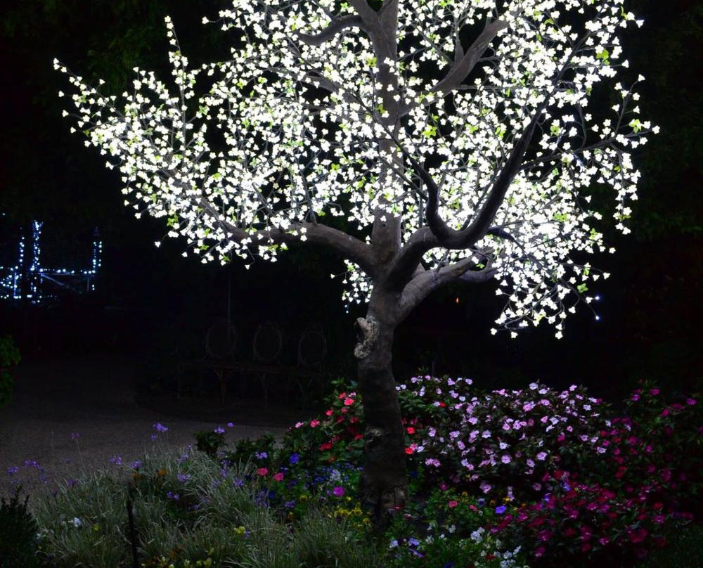 Elizabethan Lodge主图