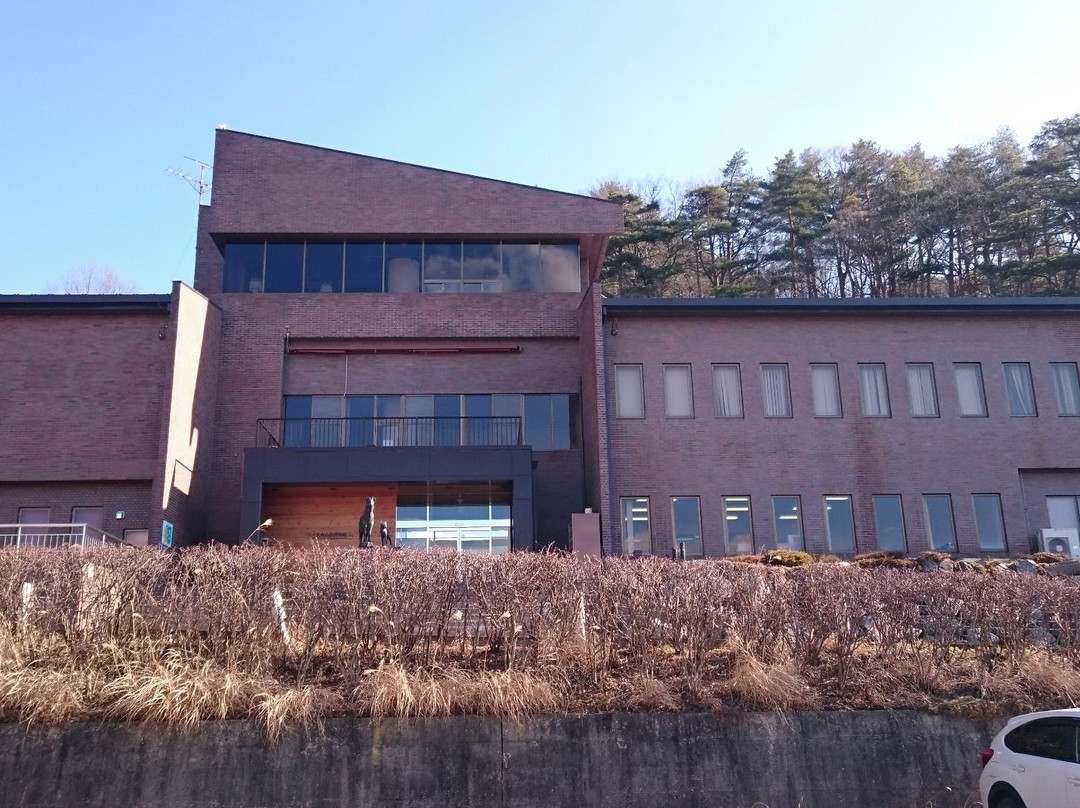 Omachi Mountain Museum景点图片