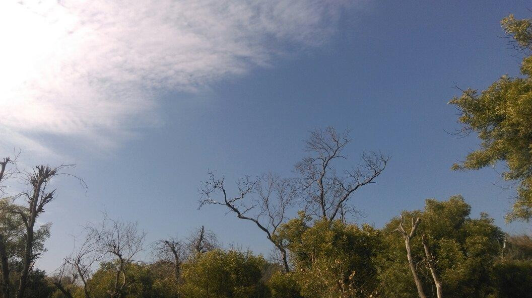 Bir Talab Zoo-Bathinda必去景点