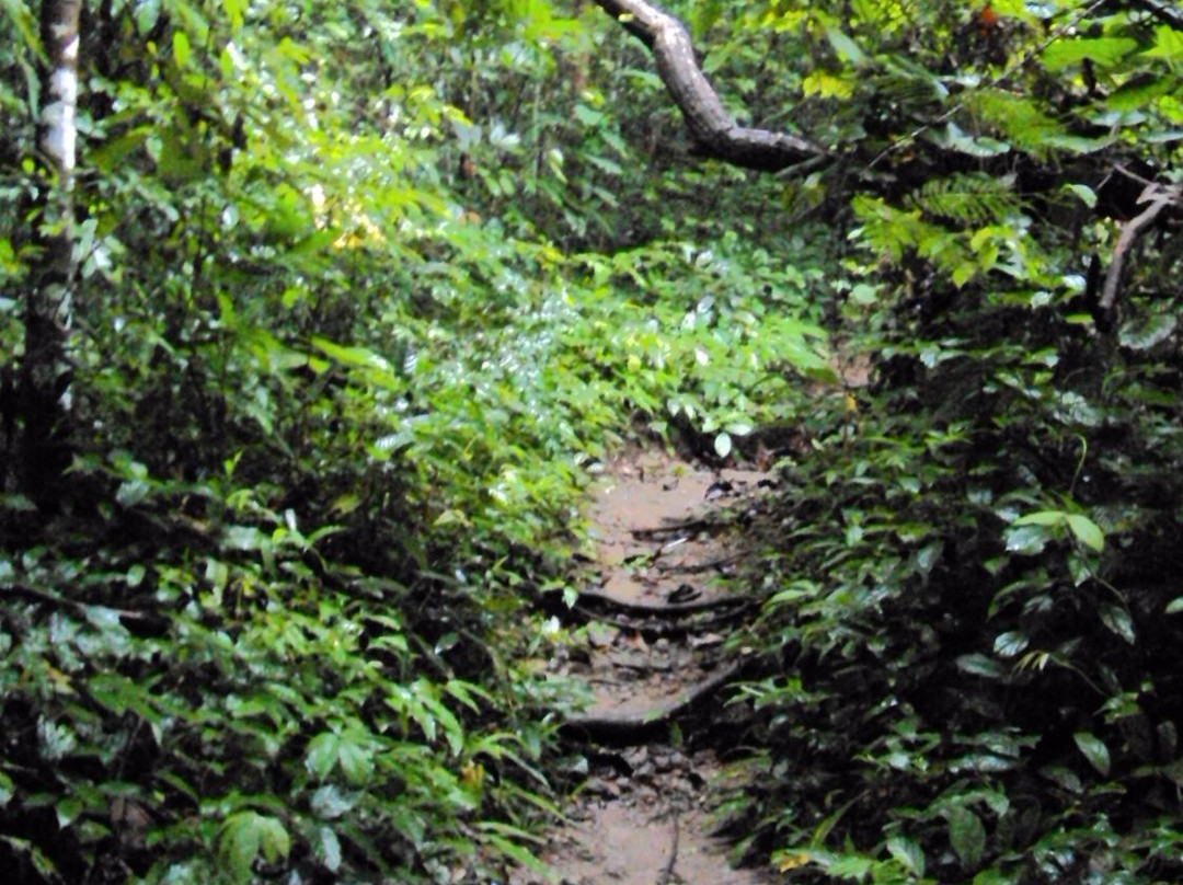 Ramkhamhaeng National Park景点图片