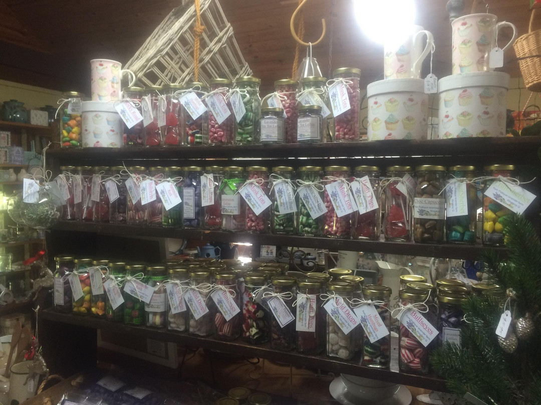 Pottique Lavender Farm-Kingaroy必去景点