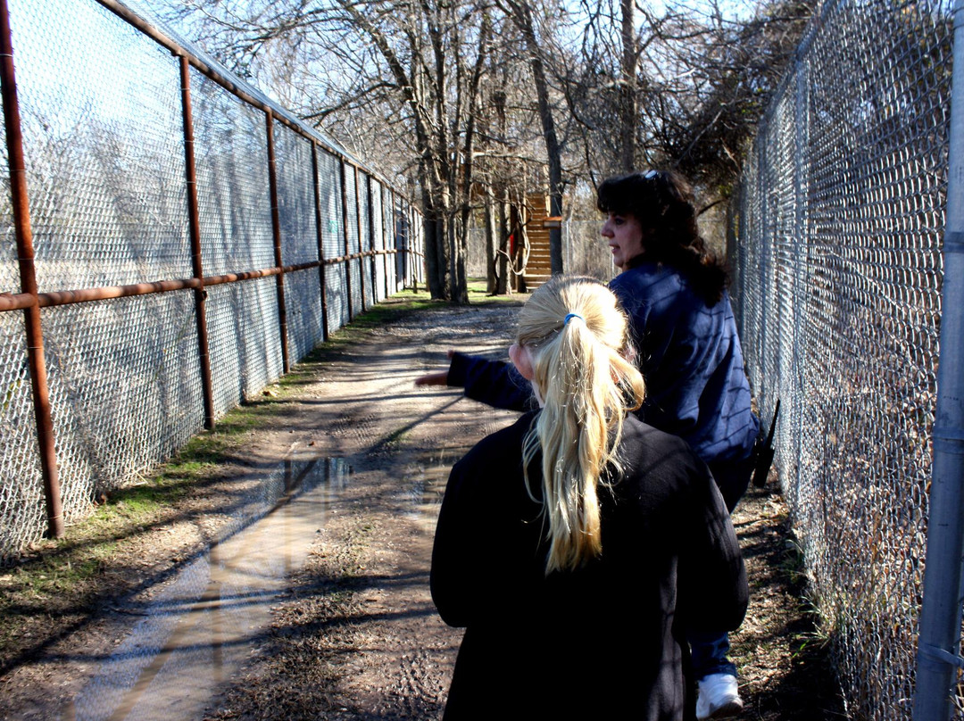 The Wild Animal Sanctuary - Texas-Boyd必去景点