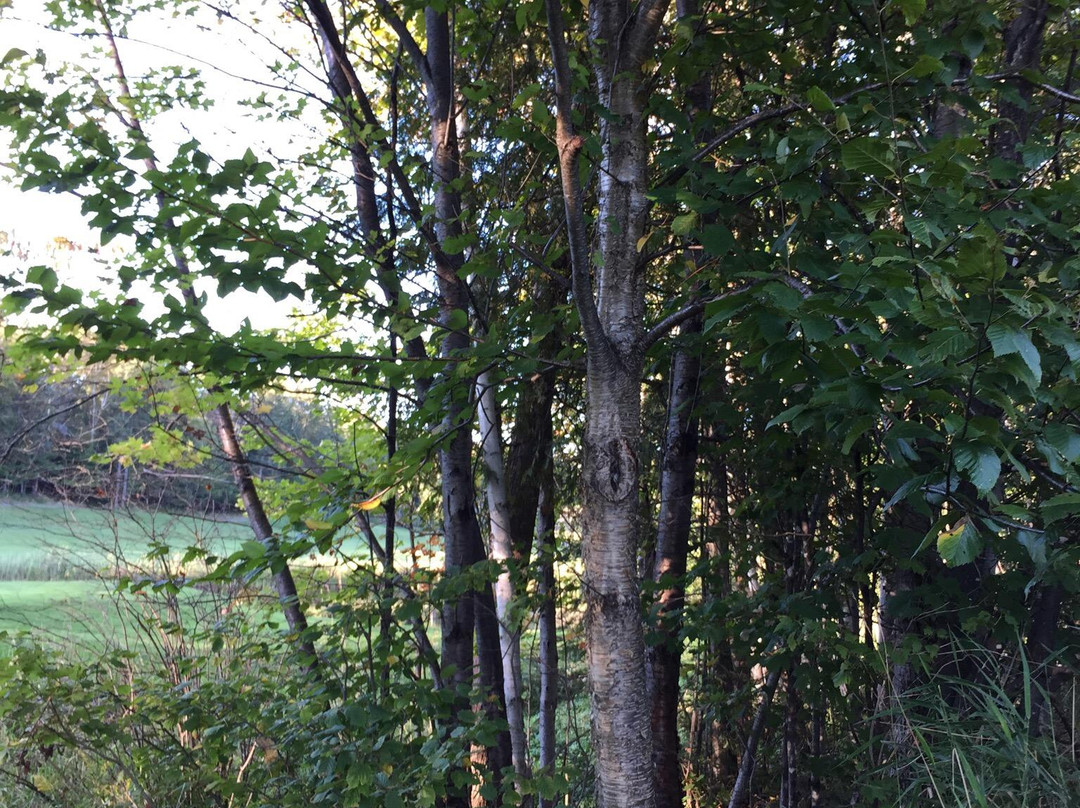 Deerhurst Highlands Golf Course-亨茨维尔必去景点