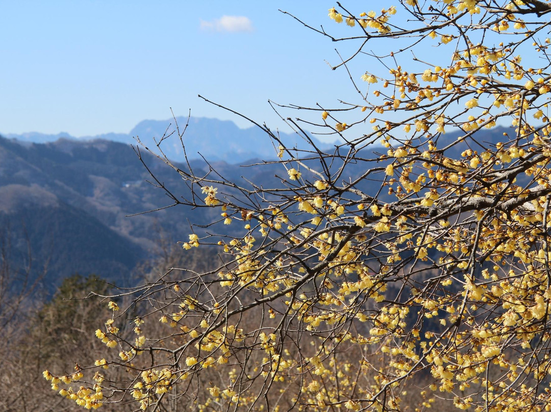 Mt. Hodosan-长瀞町必去景点