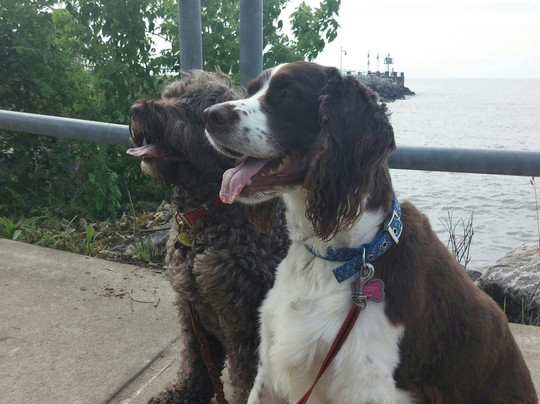 Miller Road Park-Avon Lake必去景点