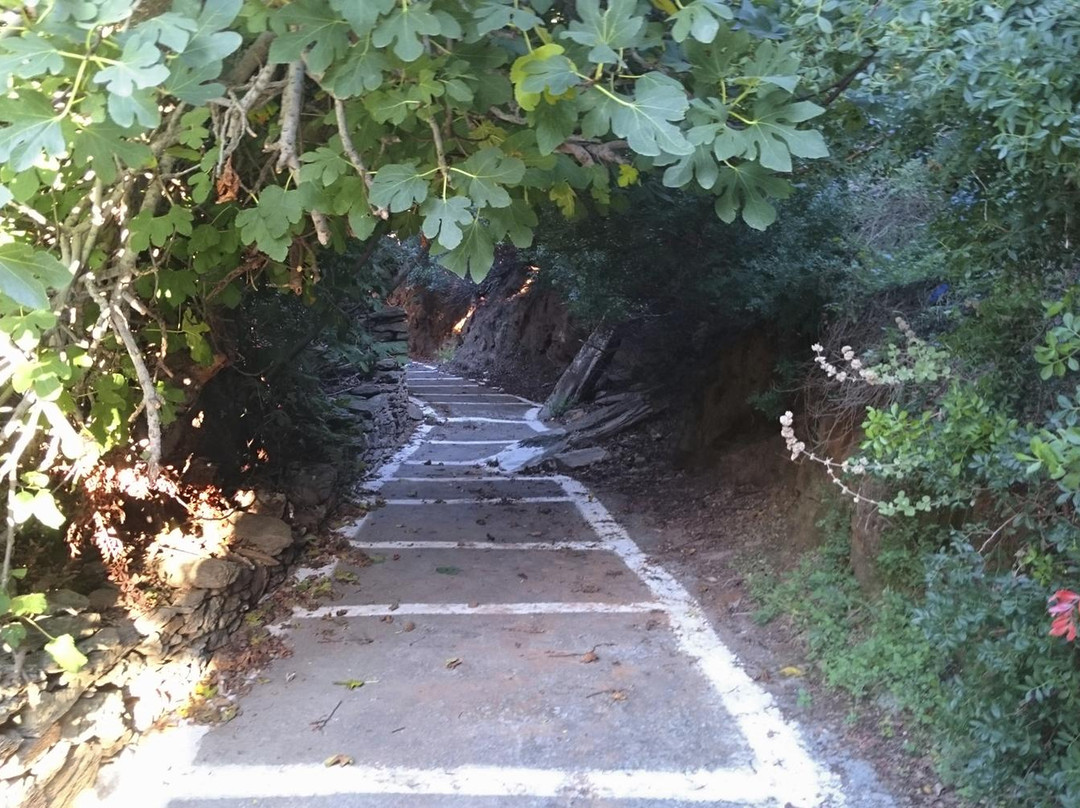 Village Path-Batsi必去景点