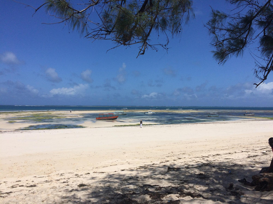 Gede旅游攻略图片