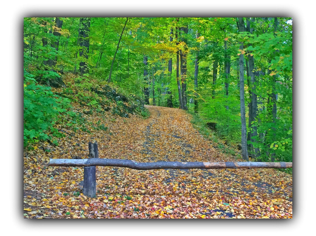Penwood State Park-Bloomfield必去景点