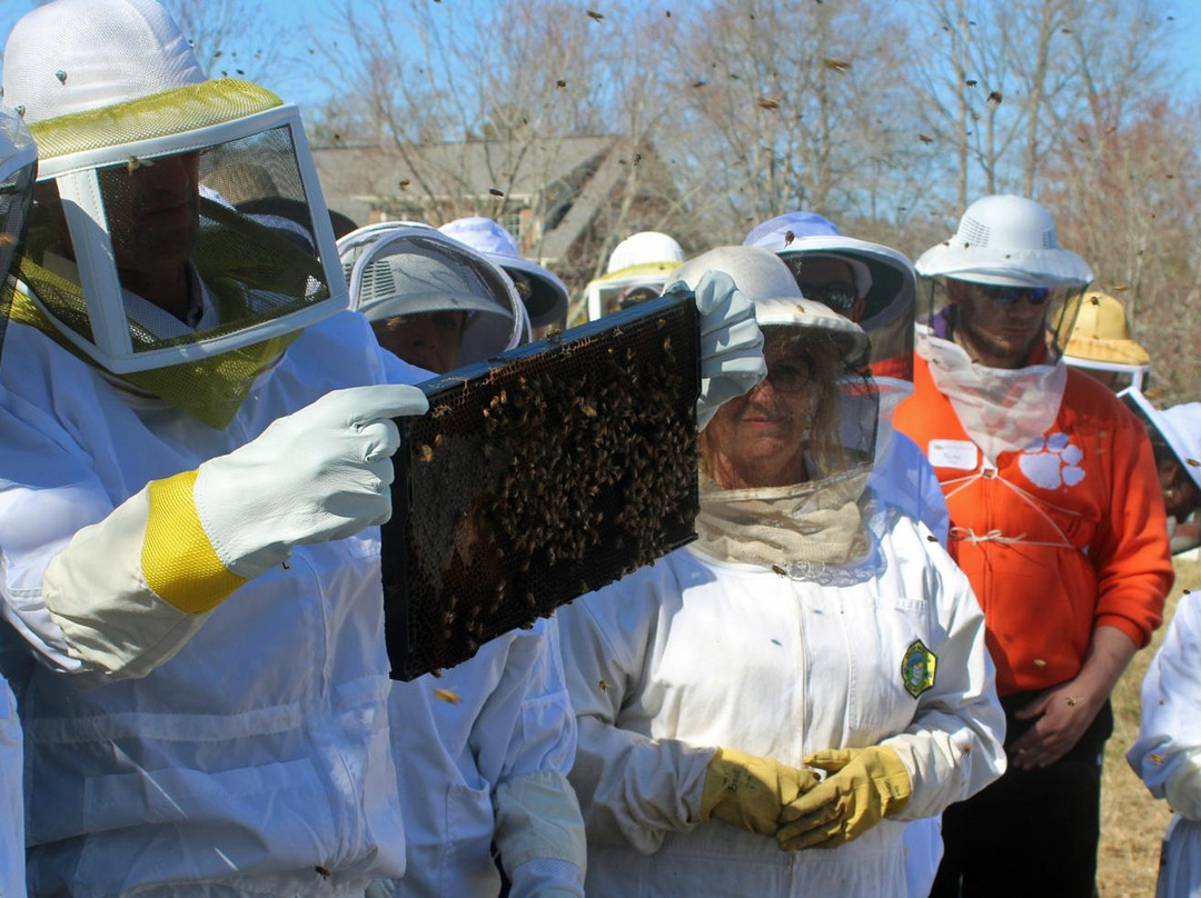 Bee Well Honey and Bee Supply景点图片