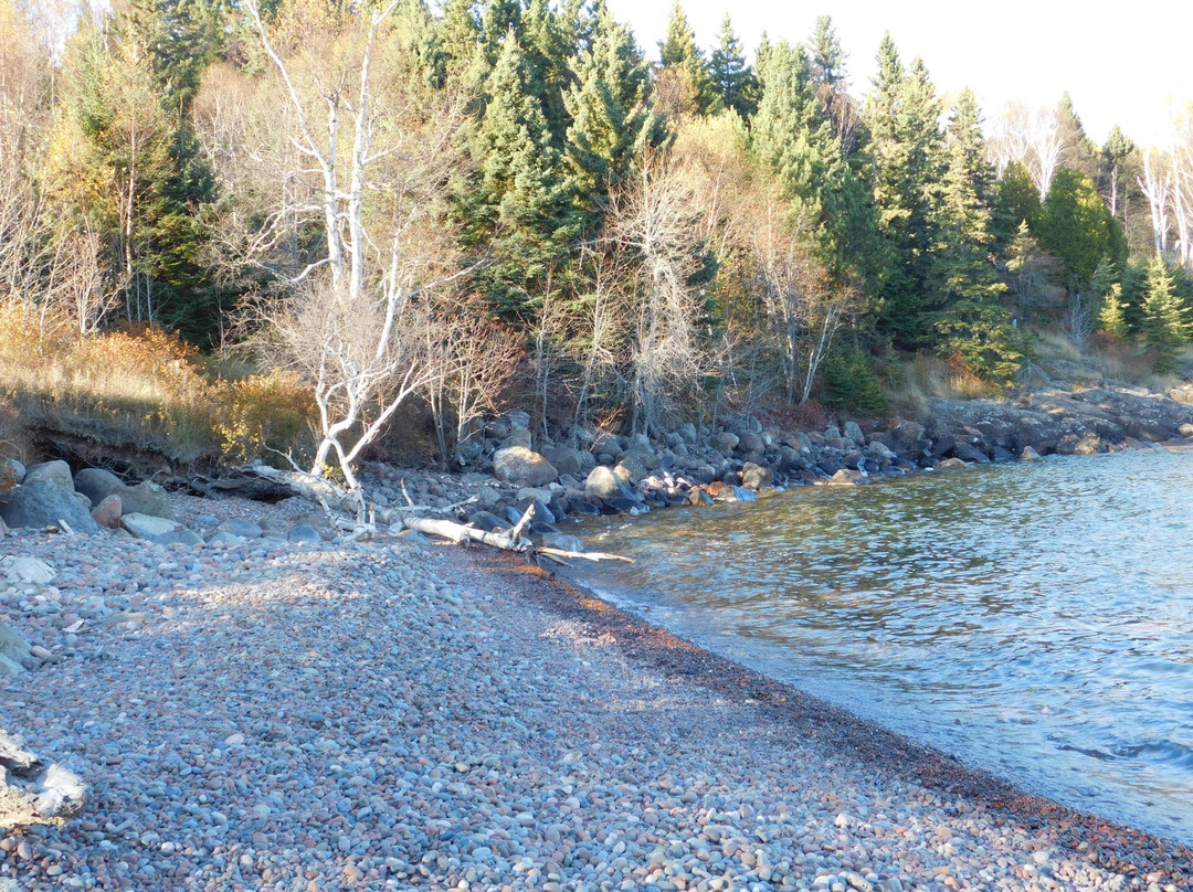 2024年2月Sugarloaf Cove Nature Center景点攻略Sugarloaf Cove Nature Center门票