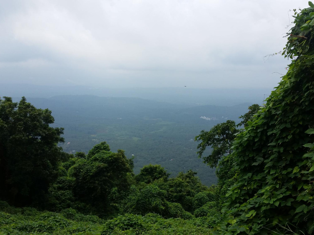Kumaragiri Farm & Nature Camp-Malappuram必去景点