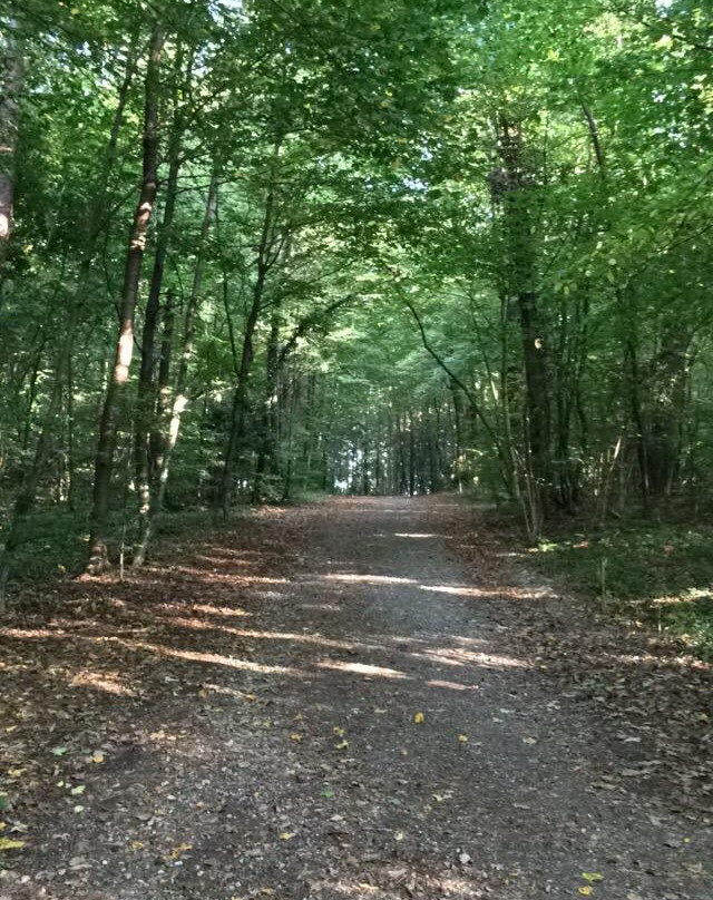 Leech Forest (Leechwald)-格拉茨城必去景点