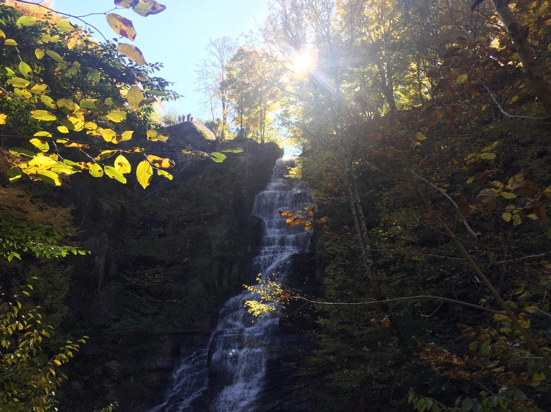 Pratt's Falls Park-Manlius必去景点
