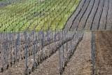 La Vinotheque de Troyes景点图片