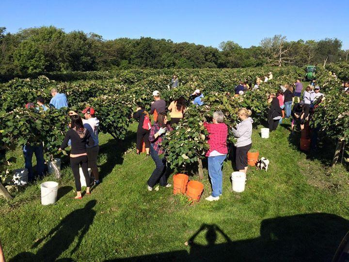 Summerset Winery-Indianola必去景点