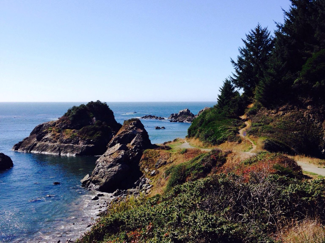 Chetco Point Park-布鲁金斯必去景点