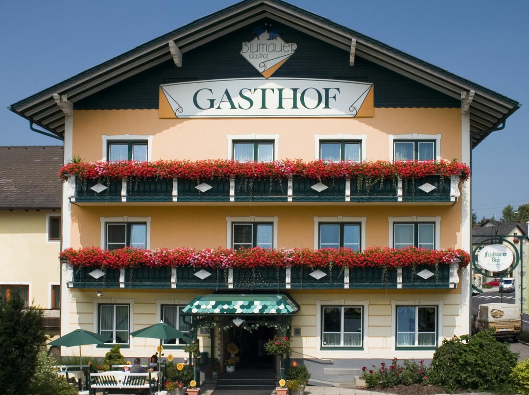 Blumauer Gasthof und Pension主图