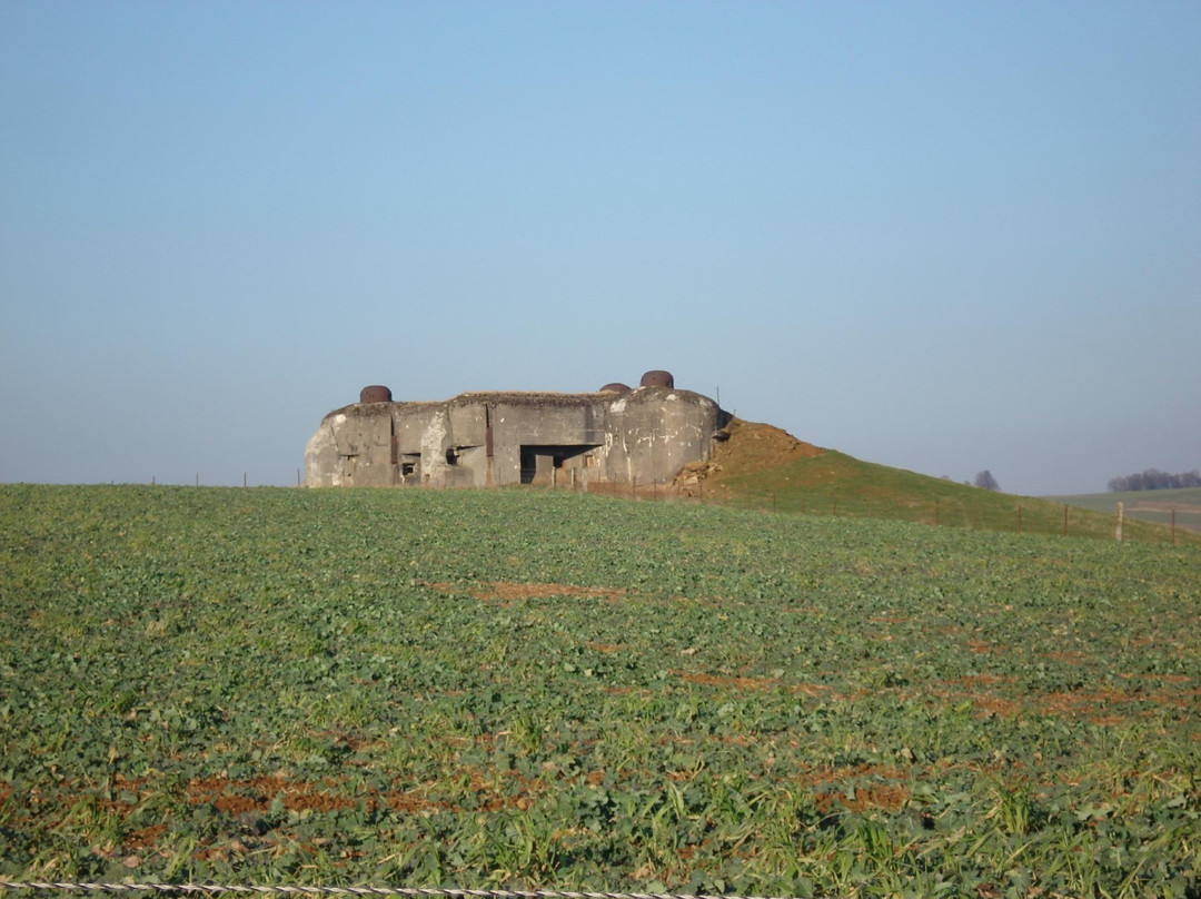 Maginot Line Tours - Tucker Tours景点图片