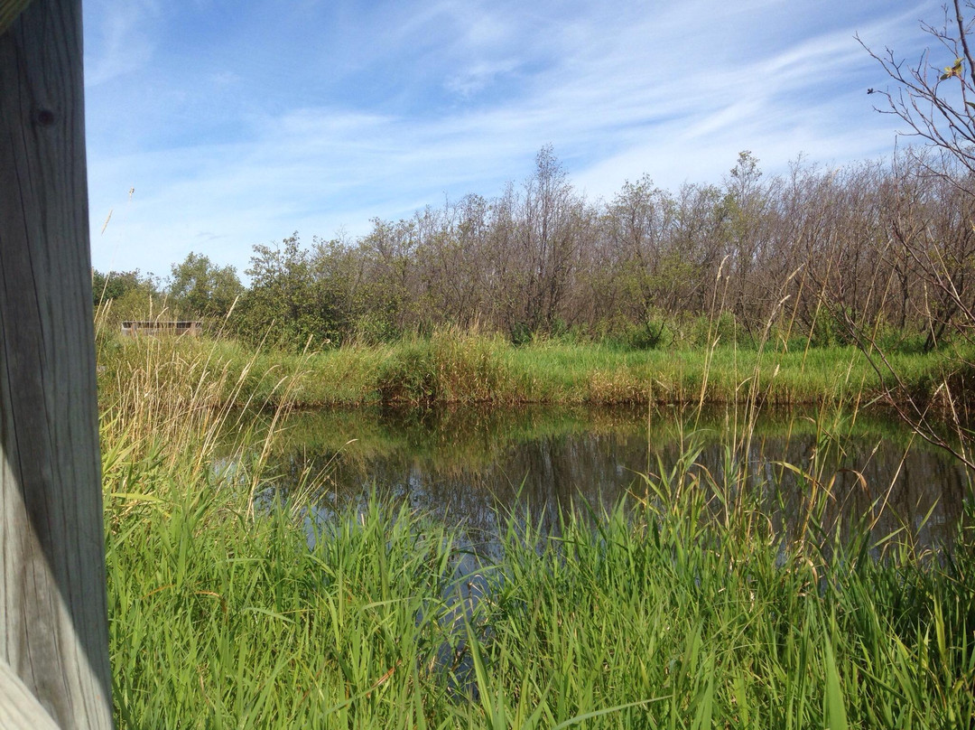 Nara Nature Park-霍顿必去景点