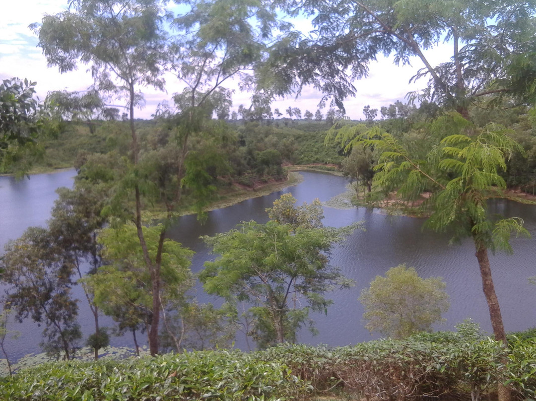 Madhabpur Lake景点图片