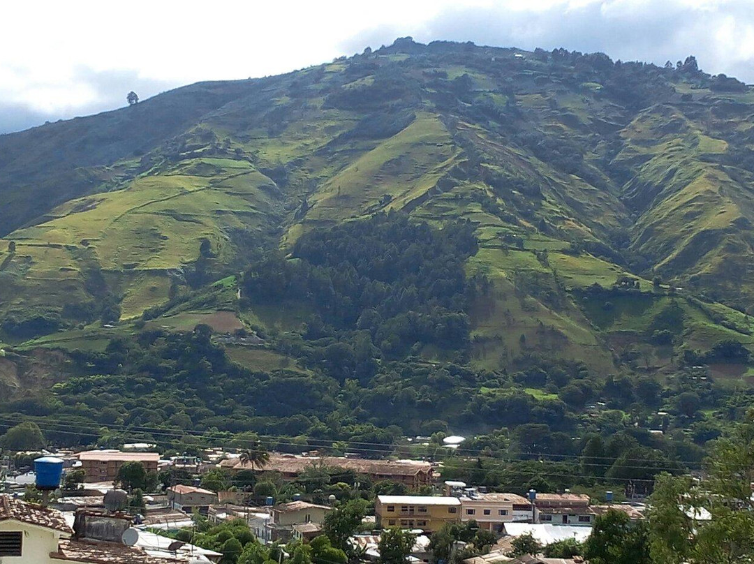 Laguna de los cedros景点图片