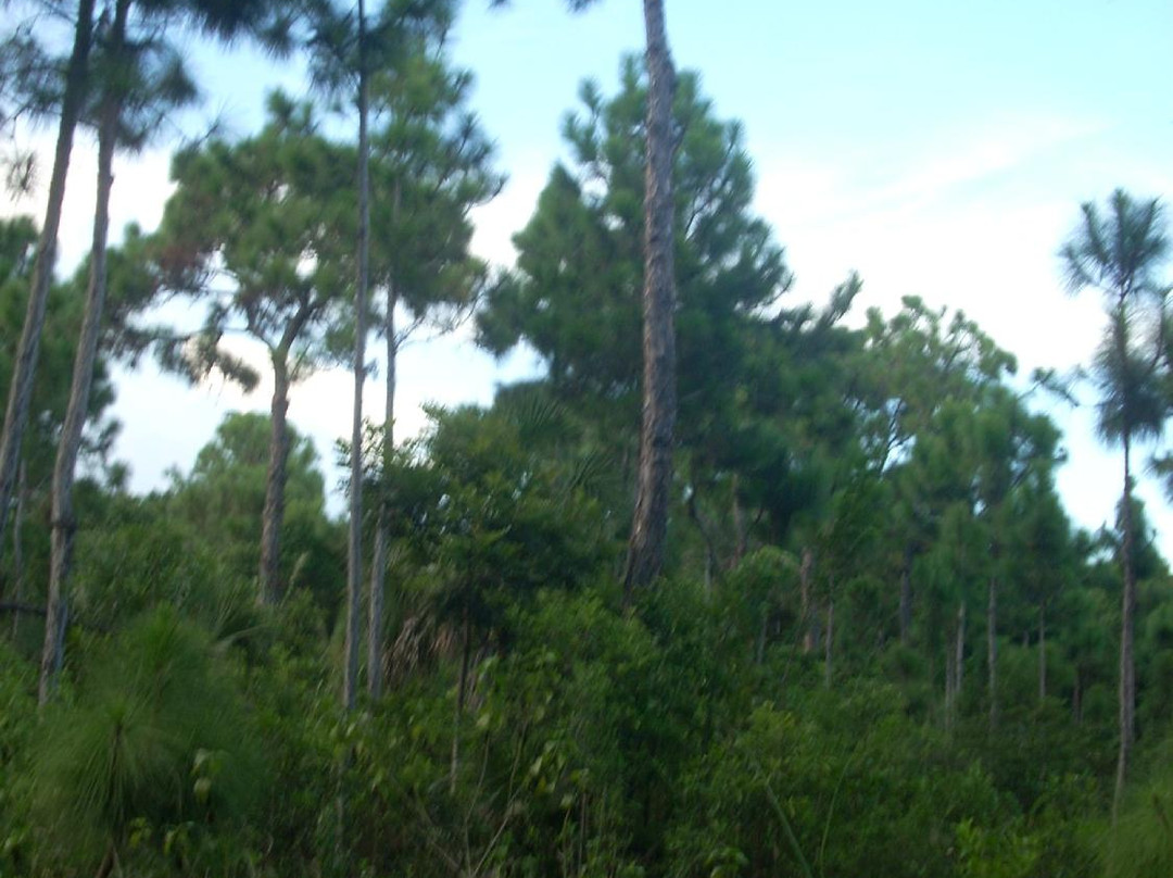 FIU Nature Preserve-迈阿密必去景点