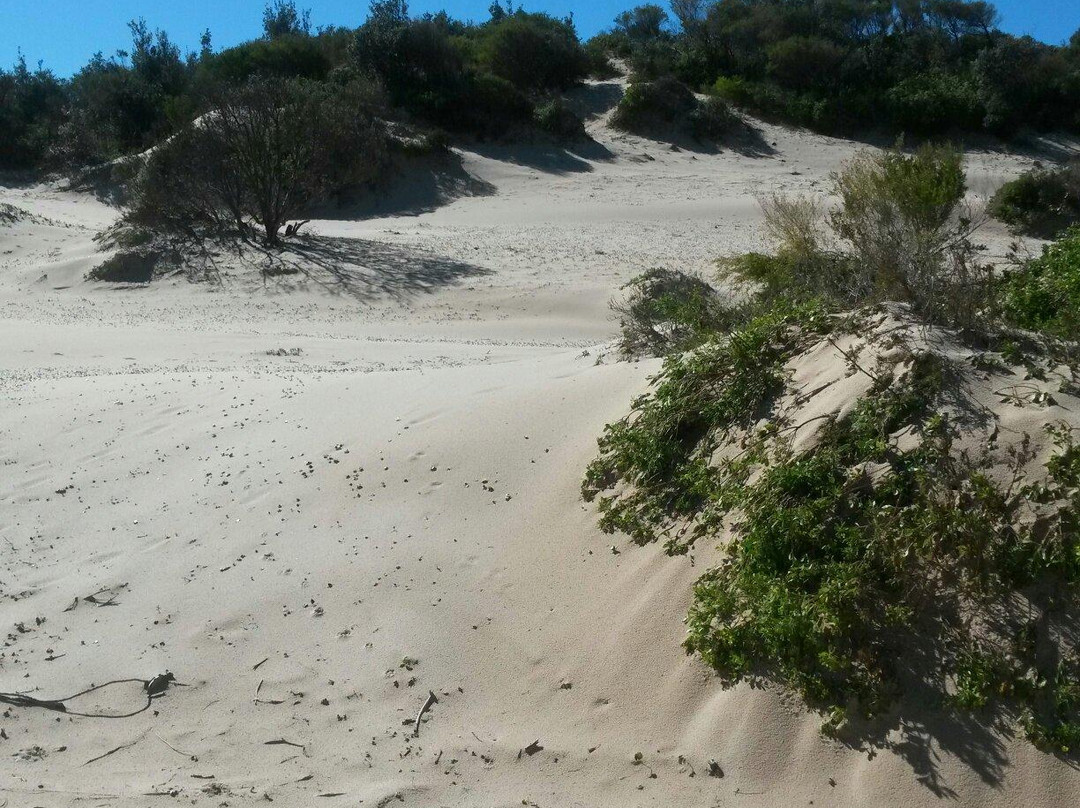 One Mile Beach景点图片