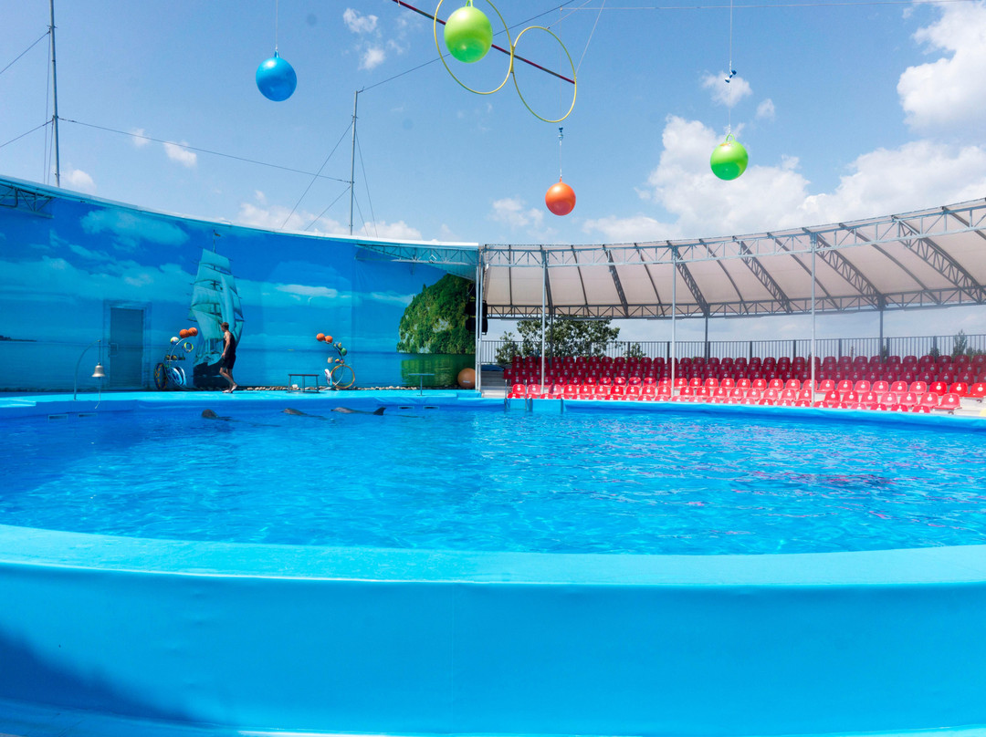 Dolphinarium Nemo景点图片