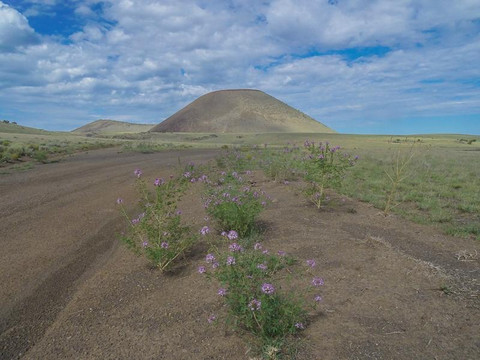 S P Crater-弗拉格斯塔夫必去景点