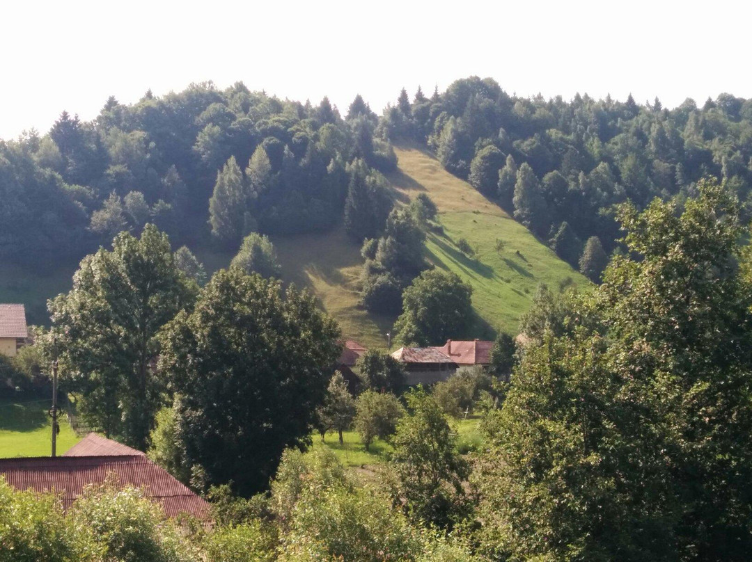 Pension Brancoveanu