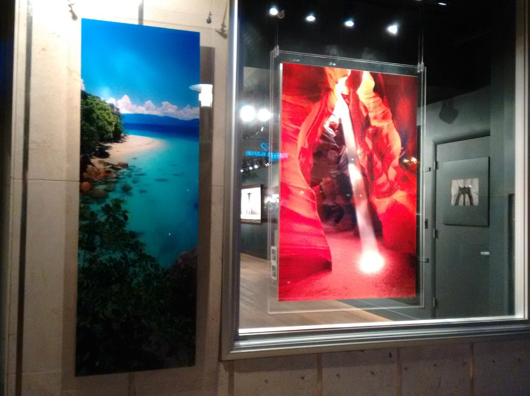 Lik Miami-迈阿密海滩必去景点