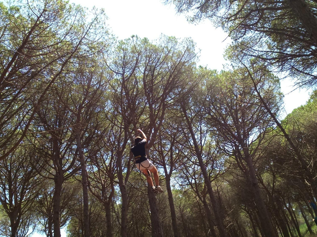 Costa Brava Parc Aventura景点图片