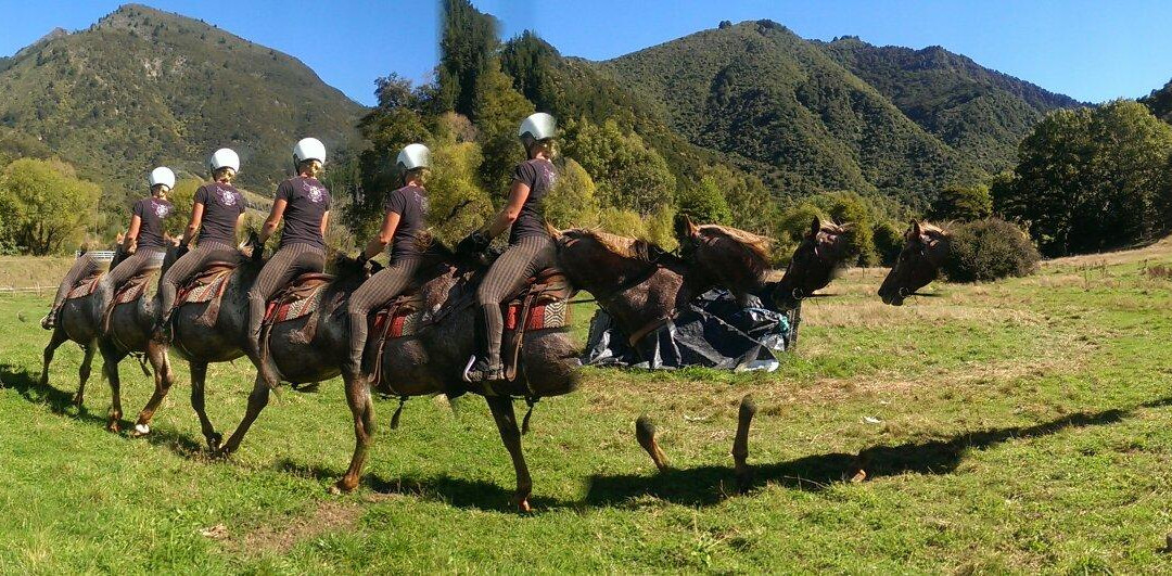 Pegasus Park Equestrian Adventure Tours-莫图伊卡必去景点