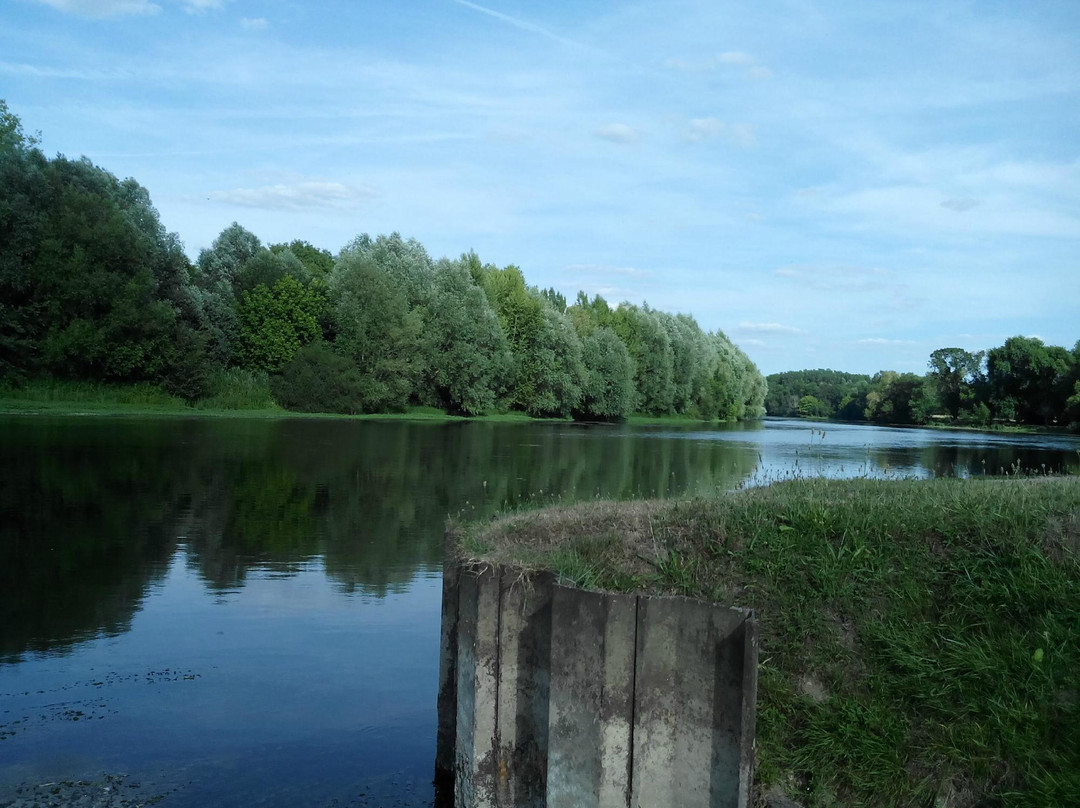 Camping le Port