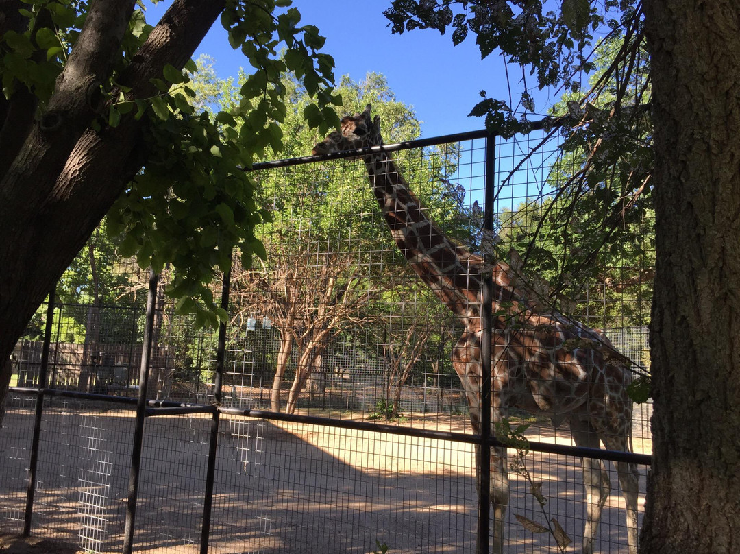Lee Richardson Zoo-Garden City必去景点