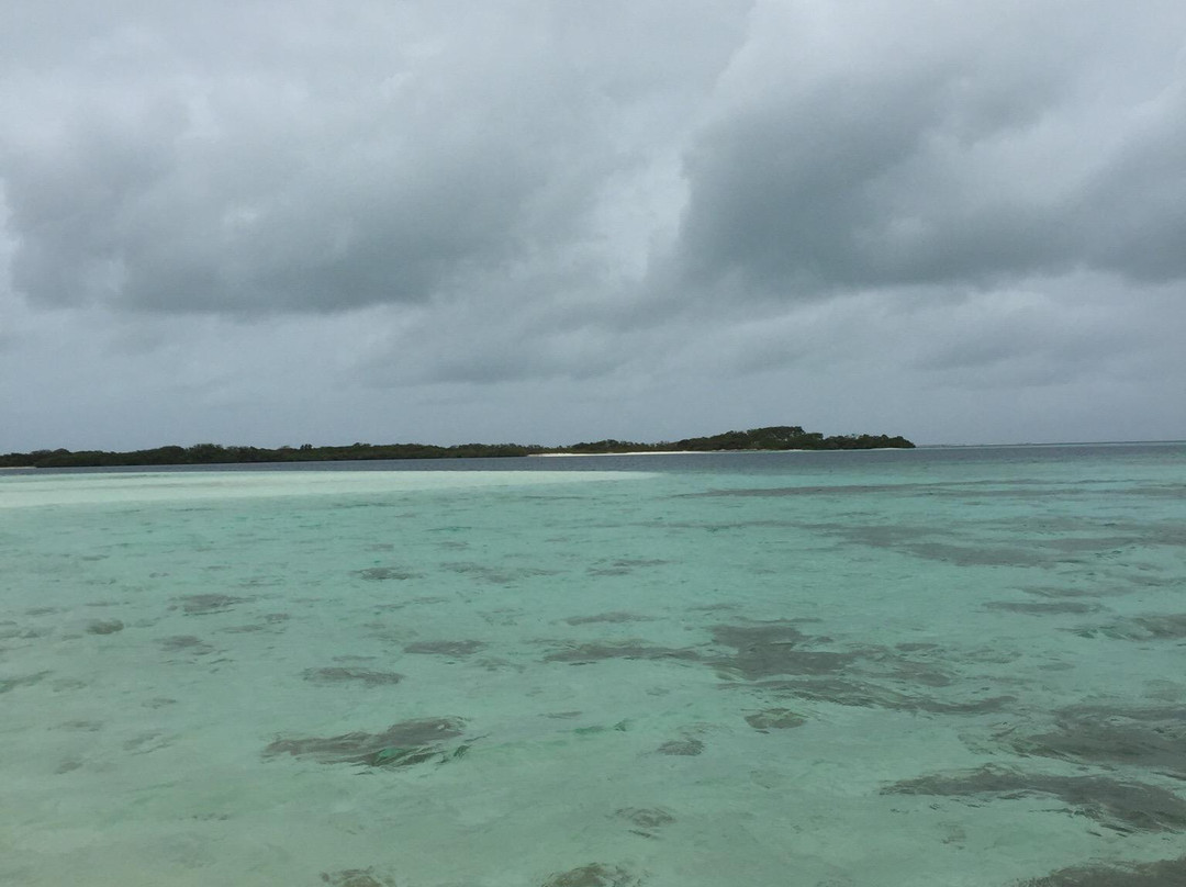 Carenero Island-洛斯罗克斯国家公园必去景点