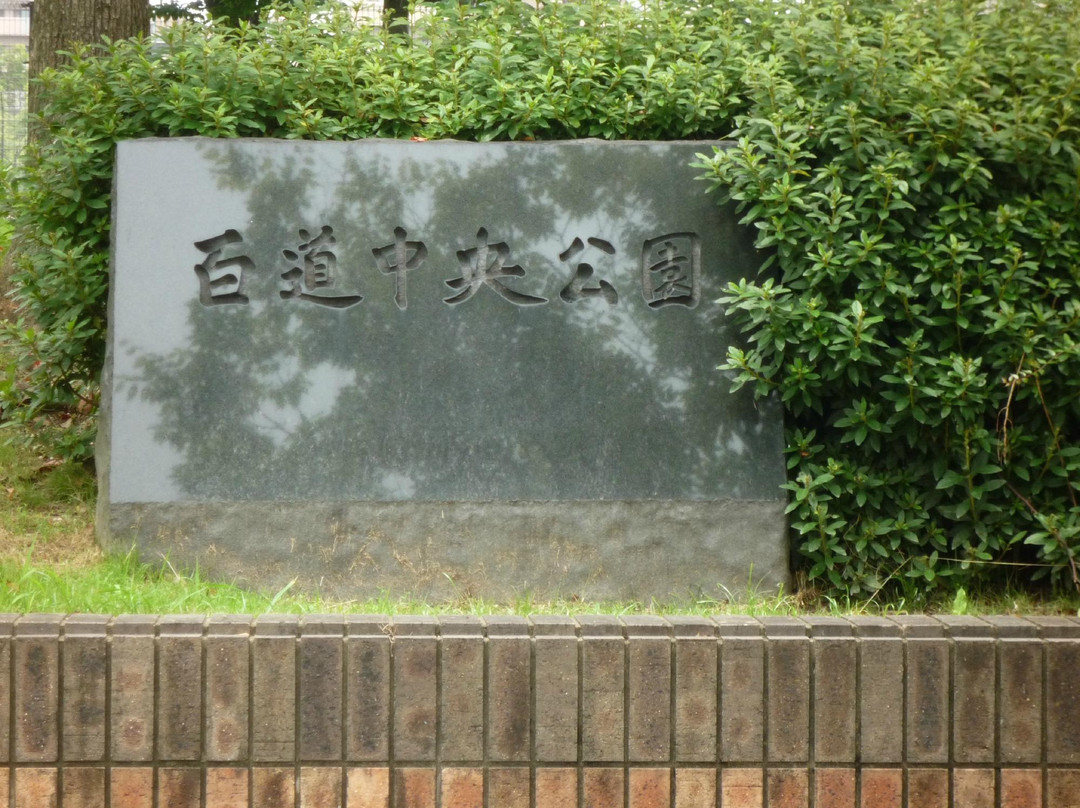 Momochi Central Park-福冈市必去景点