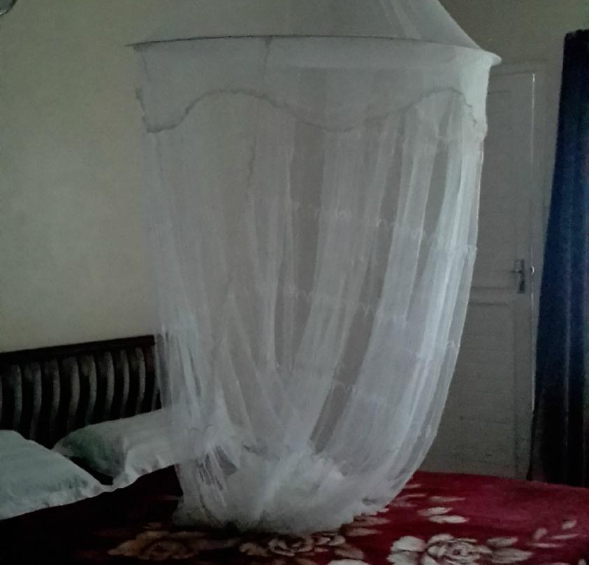 Golden Tripod Hotel主图