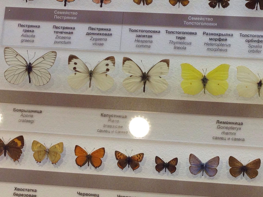 Nature Museum of Novosibirsk State Museum of Local Lore-新西伯利亚必去景点