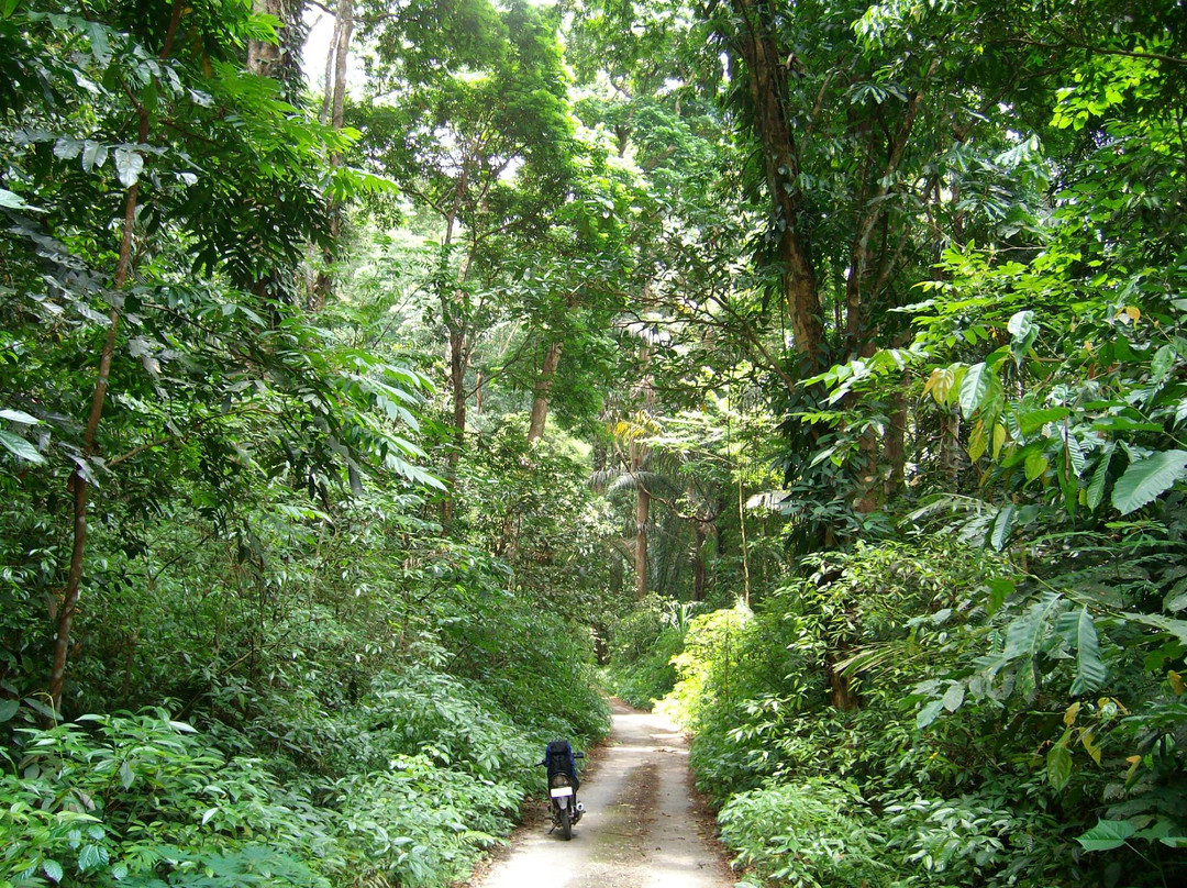 Laiwangi Wanggameti National Park景点图片