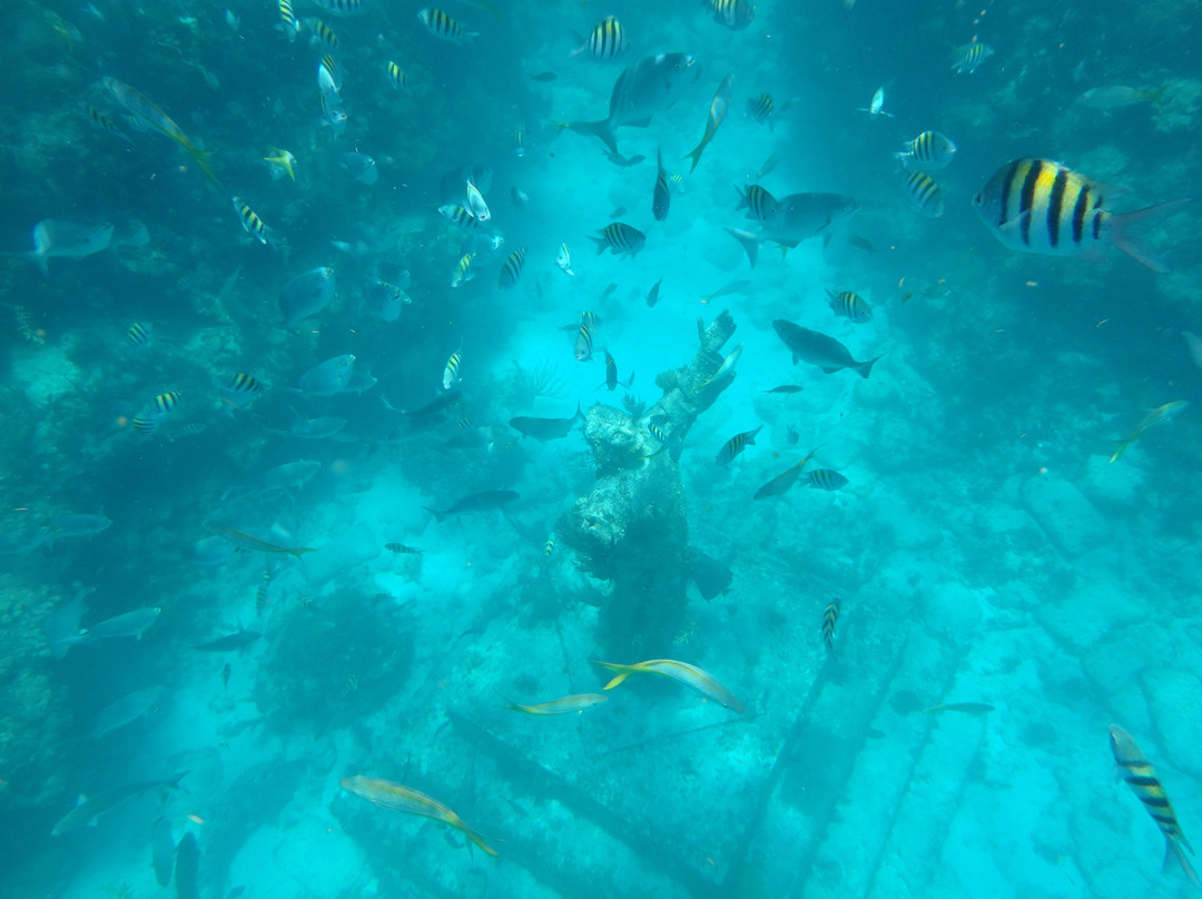 North Dry Rocks-拉哥岛必去景点