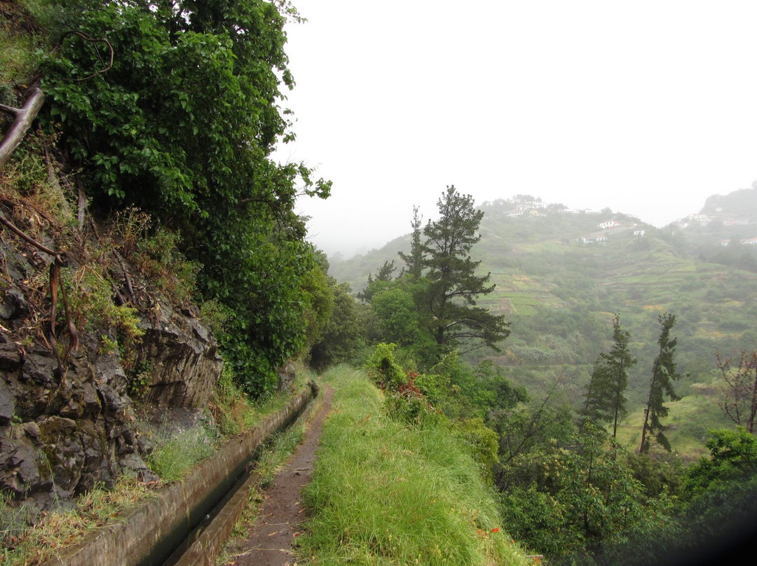 Levada Norte-Camara De Lobos必去景点